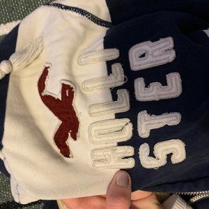 Holliser Zip Up striped sweatshirt